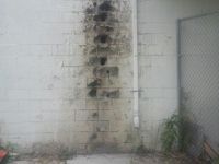 Wall Repair