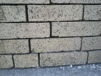 Repointing